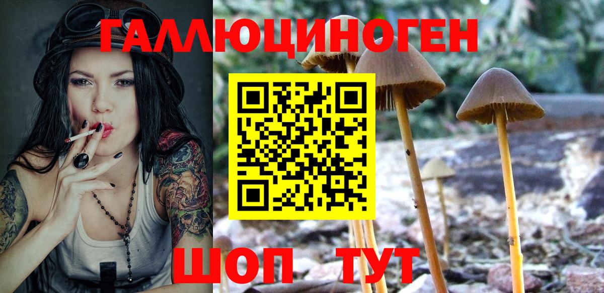 Галлюциногенные грибы мухоморы Томск