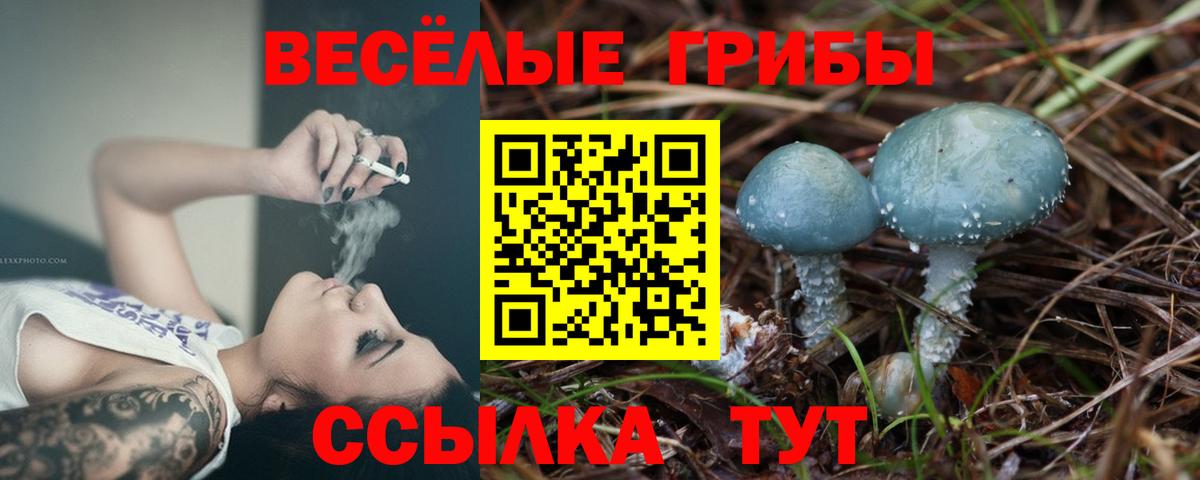 Томск  Псилоцибиновые грибы MAGIC MUSHROOMS  Вход с VPN 
